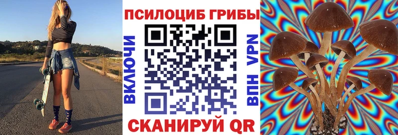 Галлюциногенные грибы Magic Shrooms  Купить где  Кочубеевское 