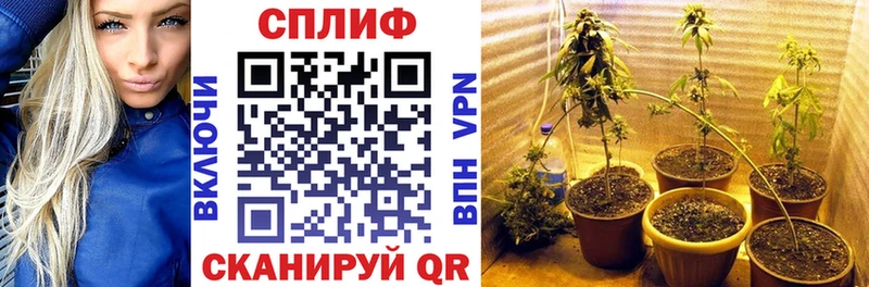 Каннабис VHQ  Купить закладки  Кочубеевское